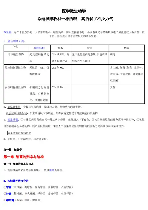 医学微生物学笔记