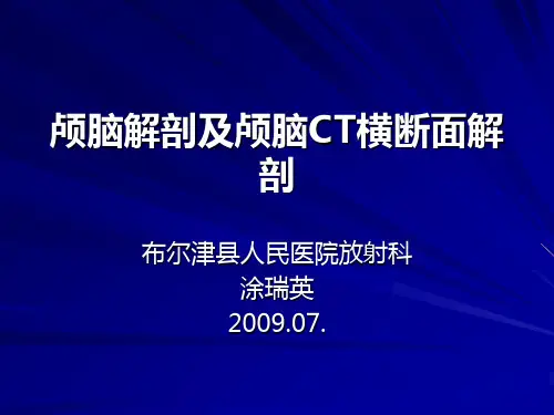 颅脑解剖及颅脑横断面解剖汇总