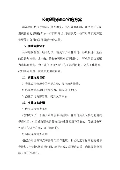 公司巡视督查实施方案