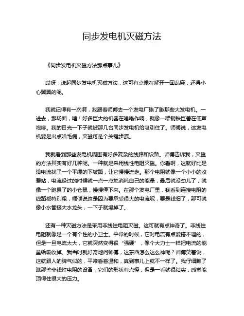 同步发电机灭磁方法