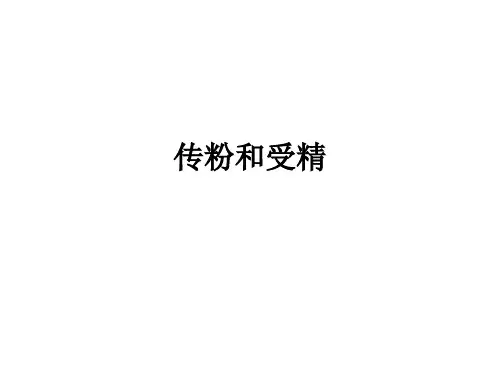 传粉和受精