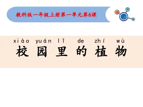 科学课件《校园里的植物》精品PPT课件12