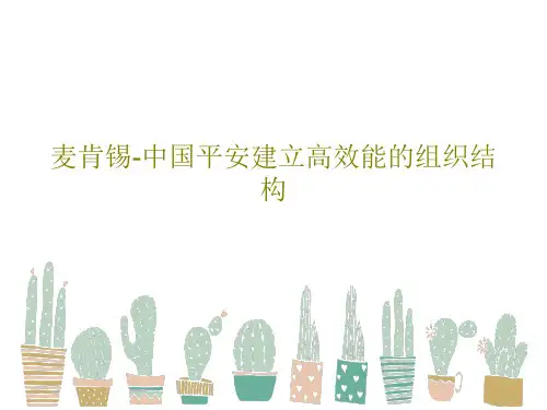 麦肯锡-中国平安建立高效能的组织结构27页PPT