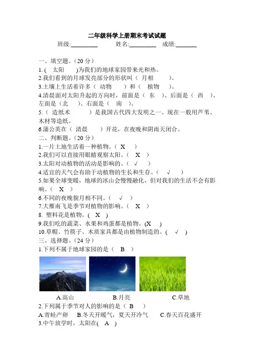 教科版二年级上册科学试题期末考试试卷-含答案