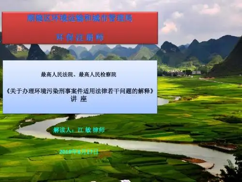两高司法解释讲座课件13、8、27