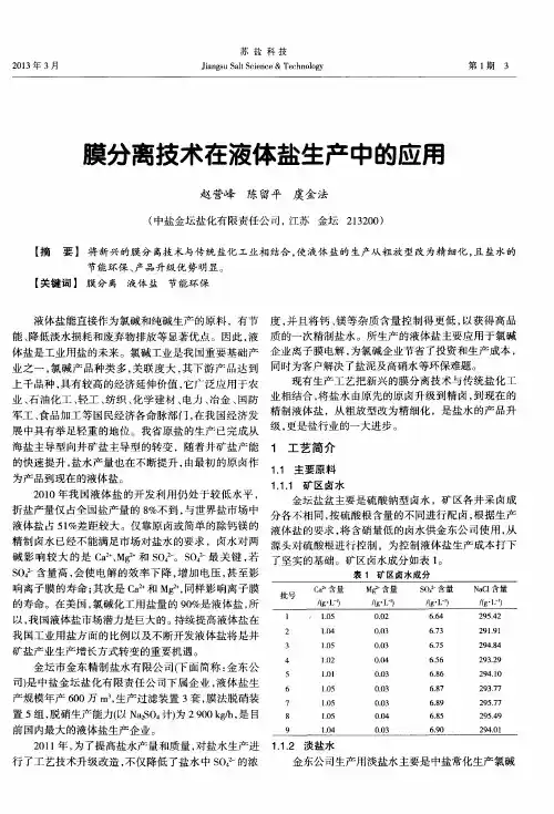 膜分离技术在液体盐生产中的应用