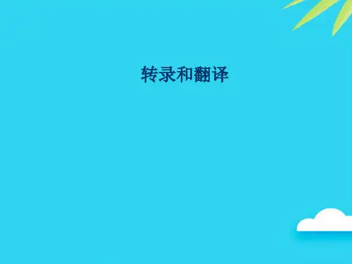 【正式版】转录和翻译PPT