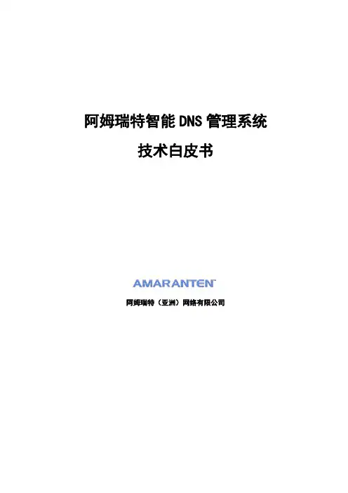 阿姆瑞特智能DNS技术白皮书