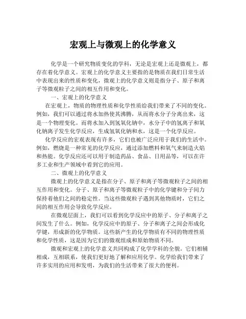 宏观上与微观上的化学意义
