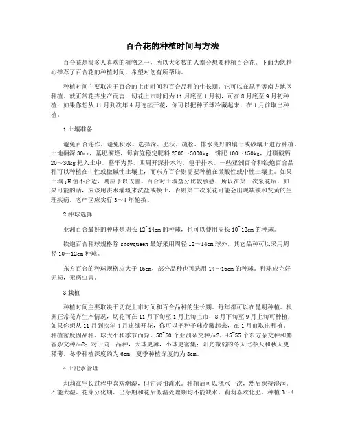 百合花的种植时间与方法