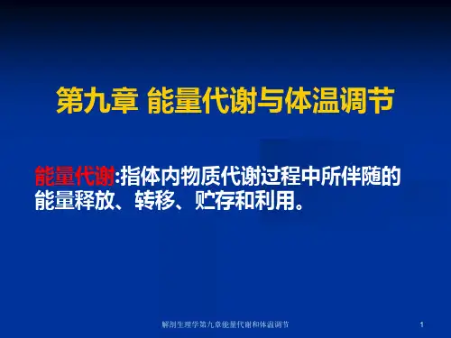 解剖生理学第九章能量代谢和体温调节课件