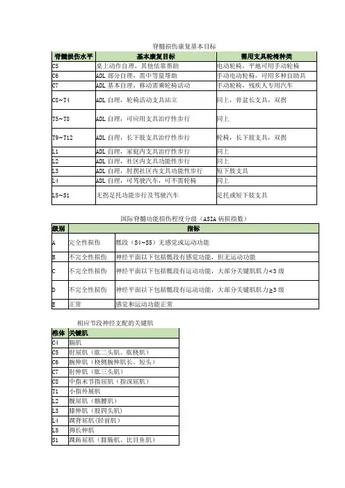 脊髓损伤神经功能评定