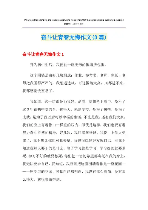 奋斗让青春无悔作文(3篇)