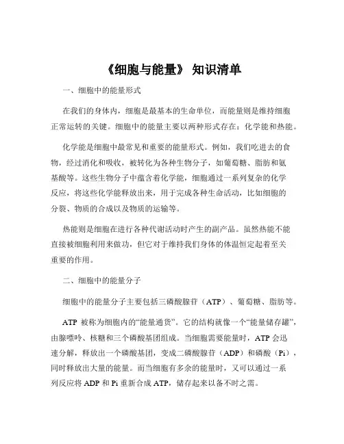 《细胞与能量》 知识清单