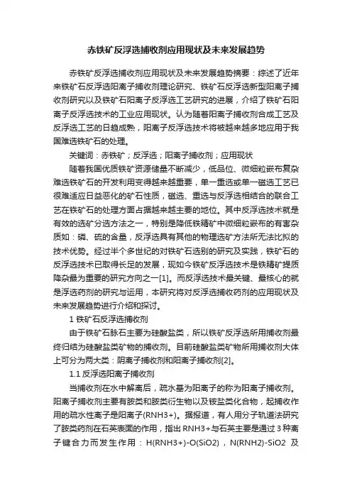 赤铁矿反浮选捕收剂应用现状及未来发展趋势