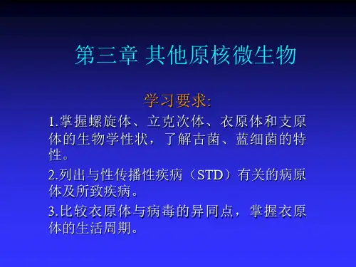 7.常见致病细菌-整理版