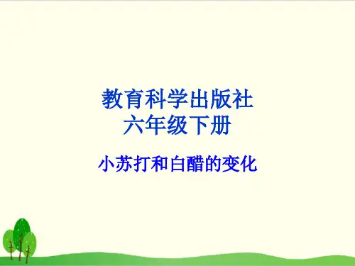 (教科版)小学科学《小苏打和白醋的变化》上课课件1