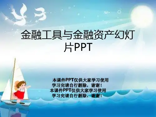 金融工具与金融资产幻灯片PPT