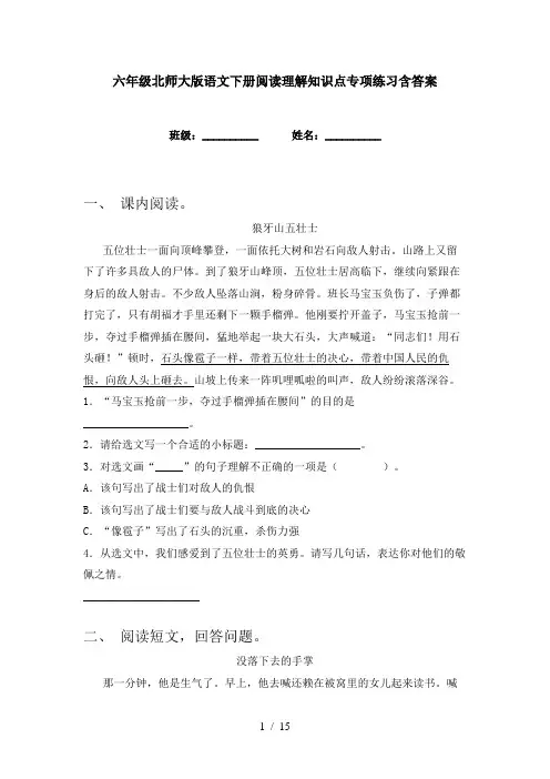 六年级北师大版语文下册阅读理解知识点专项练习含答案