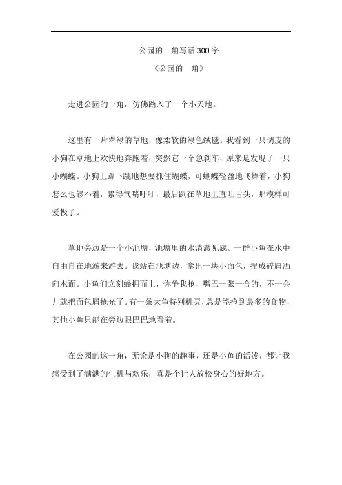 公园的一角写话300字