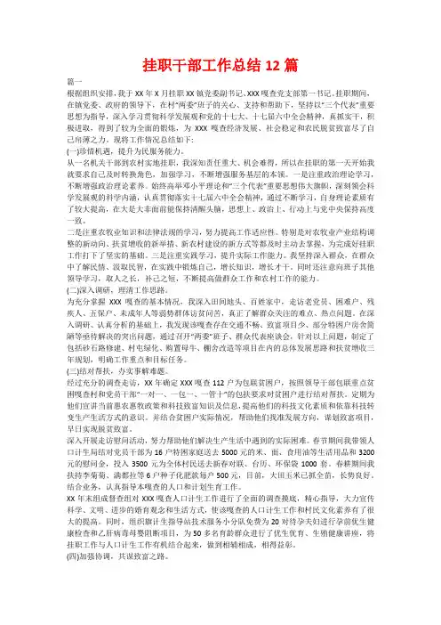 挂职干部工作总结12篇