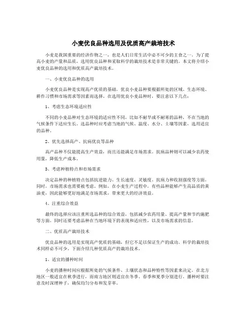 小麦优良品种选用及优质高产栽培技术