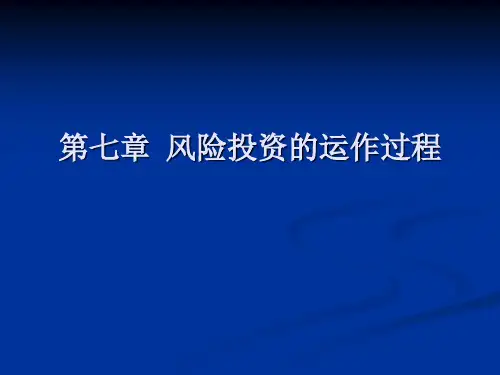 风险投资的运作过程概述(PPT 36页)
