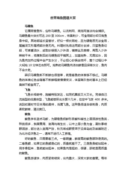 世界海鱼图谱大赏
