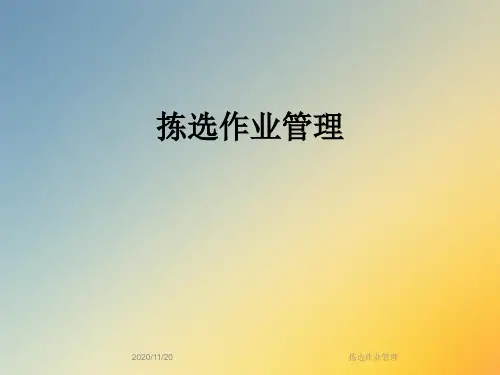 拣选作业管理