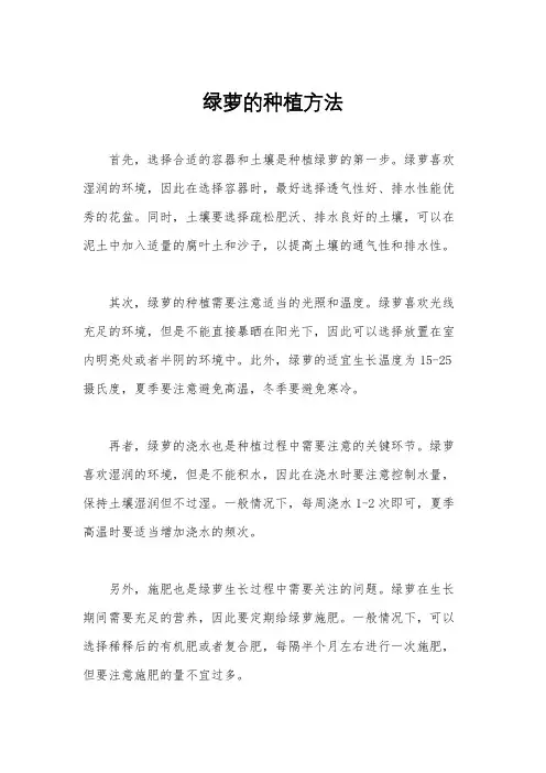 绿萝的种植方法