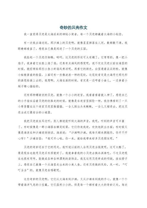 奇妙的贝壳作文