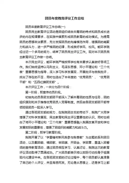 团员年度教育评议工作总结