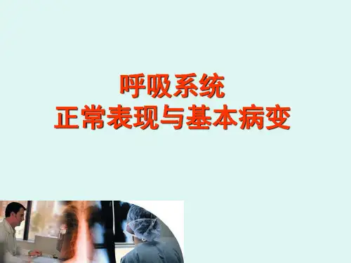 呼吸系统正常影像PPT课件