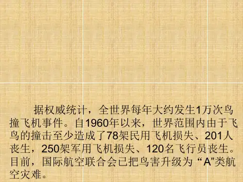 为什么飞鸟能撞坏飞机