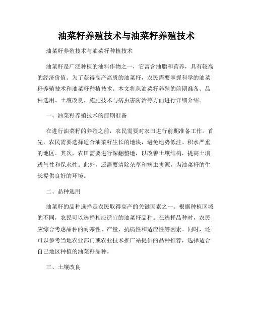 油菜籽养殖技术与油菜籽养殖技术