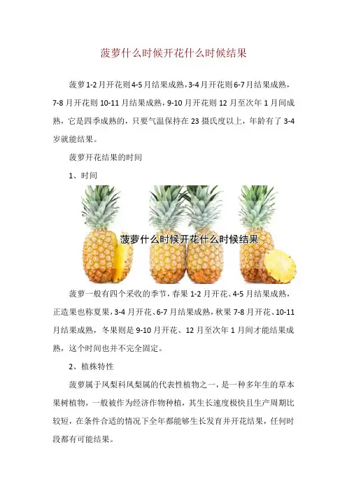 菠萝什么时候开花什么时候结果