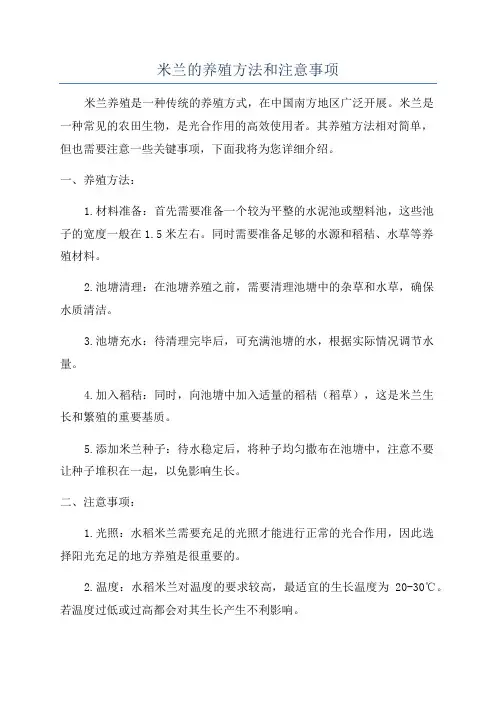 米兰的养殖方法和注意事项