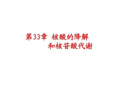 核酸的降解和核苷酸代谢