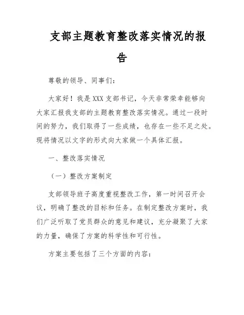 支部主题教育整改落实情况的报告