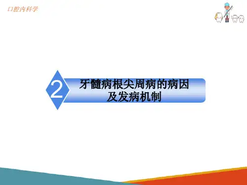 牙髓病和根尖周病的病因及发病机制(口腔内科学课件)