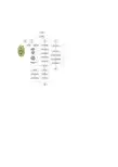 VCU控制流程