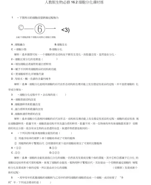 高中生物6.2《细胞分化》课时练新人教版必修1