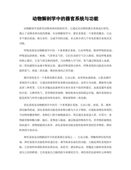 动物解剖学中的器官系统与功能