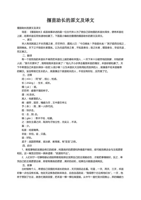 揠苗助长的原文及译文