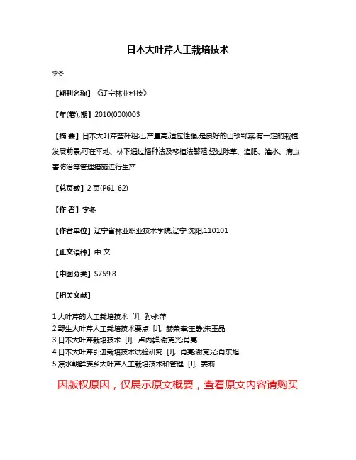 日本大叶芹人工栽培技术