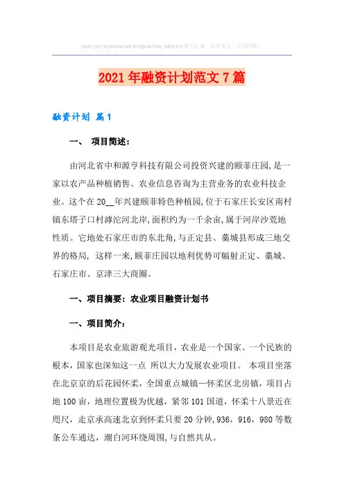 2021年融资计划范文7篇