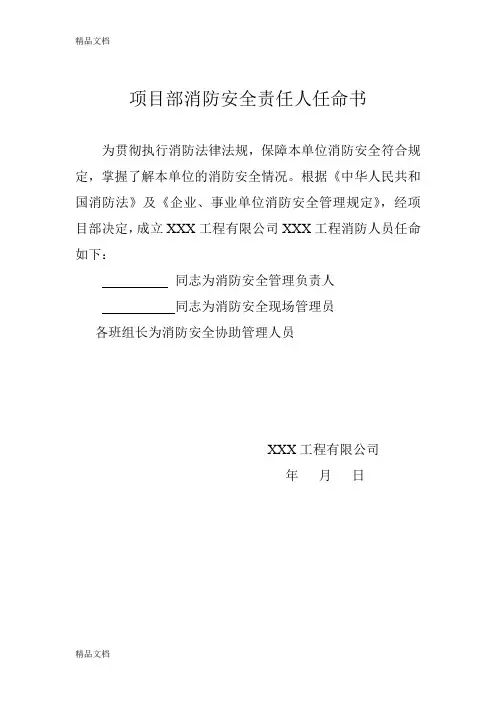 [精选]项目部消防安全责任人任命书资料