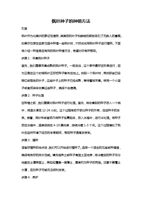 枫叶种子的种植方法