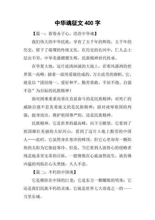 中华魂征文400字