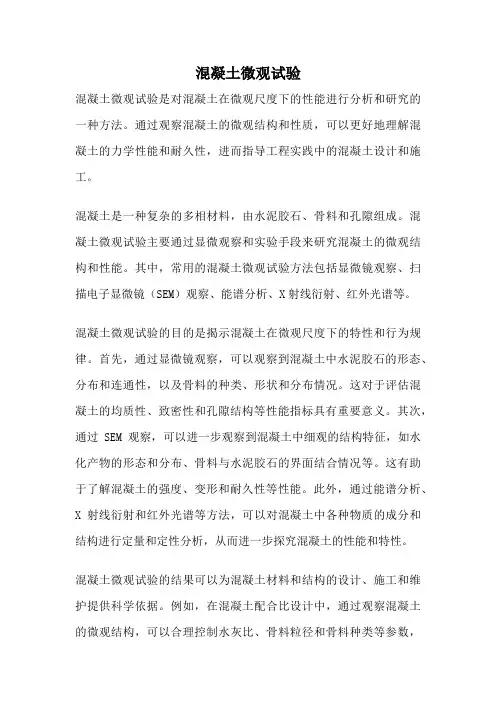 混凝土微观试验